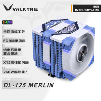 瓦尔基里(VALKYRIE)DL125MERLINVKCPU 瓦尔基里(VALKYRIE)DL125MERLINVKCPU